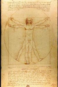 Leonardo da Vinci's 'Vitruvian Man' Art of Life Journal (Lined)