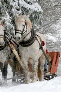 Two Horses Pulling a Sleigh in the Winter Journal