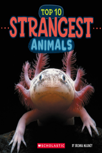 Top Ten Strangest Animals