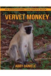 Vervet Monkey! An Educational Children's Book about Vervet Monkey with Fun Facts & Photos