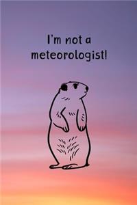 I'm not a Meteorologist!