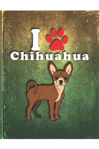 Chihuahua