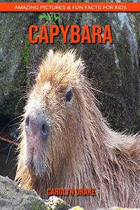 Capybara