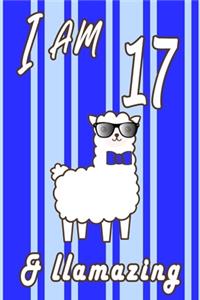I AM 17 and LLamazing boys journal