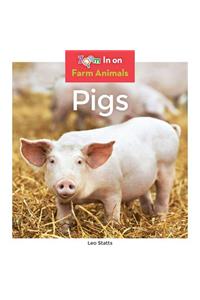 Pigs