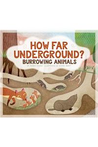 How Far Underground?