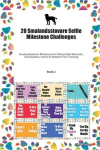 20 Smalandsstovare Selfie Milestone Challenges