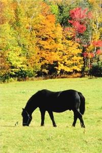 2020 Weekly Planner Horse Photo Equine Grazing Horse Fall Foliage 134 Pages