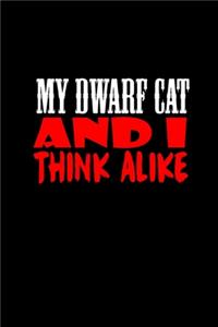 My Dwarf Cat And I Think Alike