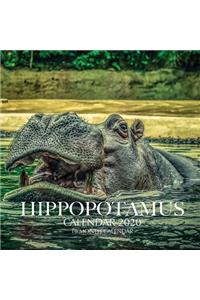 Hippopotamus Calendar 2020