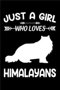 Just a girl who loves Himalayans