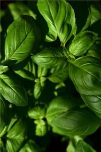 Good Herbs Notebook