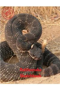 Rattlesnake Sketchbook