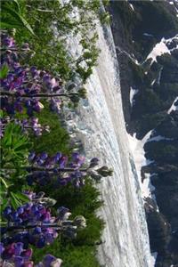 Exit Glacier with Lupine Flowers Journal
