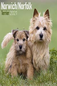 Norwich Norfolk Terrier 2021 Wall Calendar