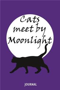 Cats Meet by Moonlight Journal