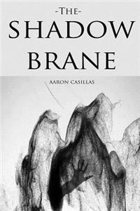 Shadow Brane