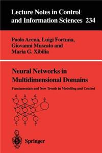 Neural Networks in Multidimensional Domains