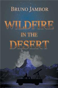 Wildfire in The Desert