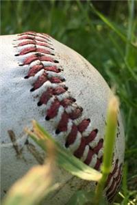 Baseball in the Grass Journal