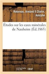 Études Sur Les Eaux Minérales de Nauheim