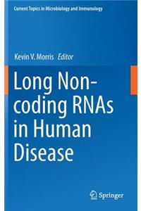 Long Non-Coding Rnas in Human Disease