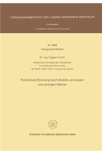 Pulsierende Strömung Durch Modelle Verzweigter Und Verengter Arterien