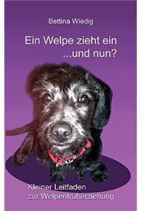 Ein Welpe zieht ein ... und nun?