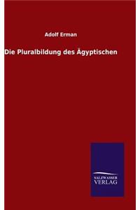 Die Pluralbildung des Ägyptischen