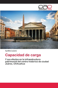 Capacidad de carga