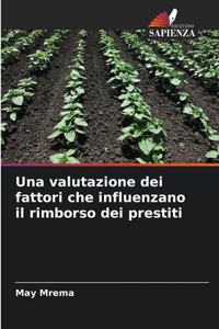 valutazione dei fattori che influenzano il rimborso dei prestiti