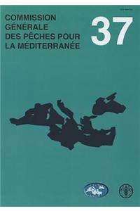 Rapport de la trente-septiÃ¨me session