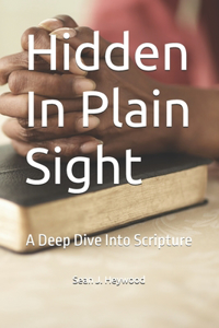 Hidden In Plain Sight
