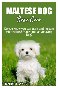 Maltese Dog Basic Care