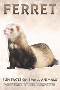 Ferret