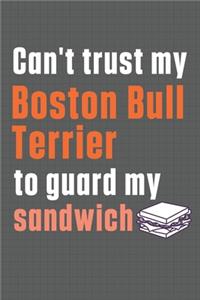 Can't trust my Boston Bull Terrier to guard my sandwich