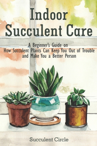 Indoor Succulent Care