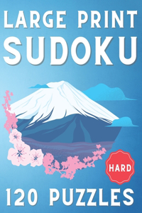 Large Print Sudoku