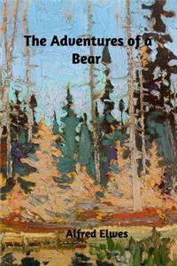 The Adventures of a Bear