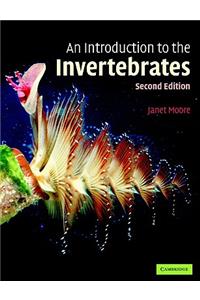 Introduction to the Invertebrates