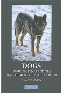 Dogs