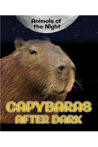 Capybaras After Dark