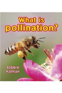 What is pollination?