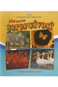 ¿Qué Son Los Seres Vivos? (What Is a Living Thing?)