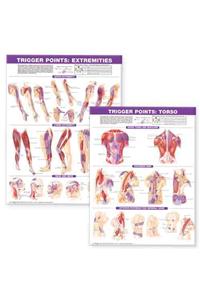 Trigger Point Chart Set: Torso & Extremities Paper