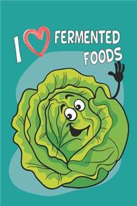 Fermented Recipe Book