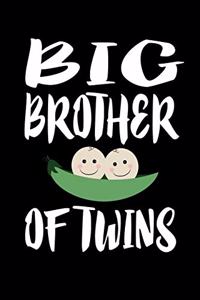 Big Brother Of Twins