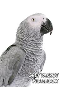 Grey Parrot Notebook: Congo Grey Parrot - African Grey Parrot - Composition Book 150 pages 8.5 x 11 in. - College Ruled - Writing Notebook - Lined Paper - Soft Cover - Pl