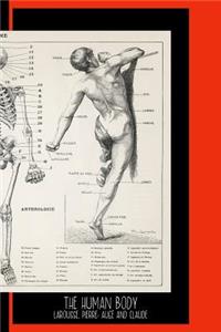 The Human Body (1900) by Larousse, Pierre; Augé and Claude