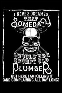 I Never Dreamed That Someday I Would Be a Grumpy Old Plumber But here I m killing it (And complaining all day long)
